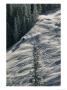 Skier On The Powder Slopes Of Aspen by Dick Durrance Limited Edition Print