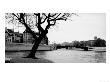 Tree, Seine River With Building, Paris, France by Eric Kamp Limited Edition Print