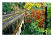Trees In Autumn Beside Bridge Over Columbia River Gorge, Columbia, Oregon, Usa by Richard Cummins Limited Edition Pricing Art Print
