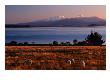 Lake Taupo In Tongariro National Park, New Zealand by David Wall Limited Edition Pricing Art Print