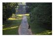 Angkor Wat, Temple Road, Cambodia by Walter Bibikow Limited Edition Print