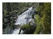 A Close View Of A Waterfall Tumbling Over Moss-Covered Rocks by Marc Moritsch Limited Edition Print