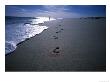 Foot Prints In Sand by Peter Ciresa Limited Edition Print