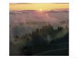 Mt. Tamalpais, Marin County, Ca by Steven Baratz Limited Edition Print