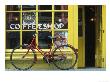 Coffee Shop, Amsterdam, Netherlands by Peter Adams Limited Edition Print