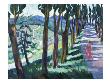 Avenue, Tuscany by Josephine Trotter Limited Edition Print