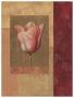 Tulipe Rosee by Fabrice De Villeneuve Limited Edition Pricing Art Print