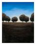 Earth And Aqua Ii by Joel Harris Limited Edition Pricing Art Print
