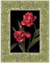 Embroidered Tulip by Tan Chun Limited Edition Pricing Art Print