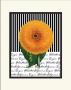 Sunflower With Stripes by Cynthia Hart Limited Edition Print