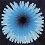 Blue Dandelion Ii, 2001 by Claire Davies Limited Edition Pricing Art Print