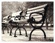 Three Benches by Mitch Ostapchuk Limited Edition Print
