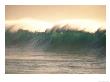 Wave Starting To Break, Hawaii by Vince Cavataio Limited Edition Print
