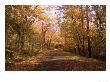 Road In Fall, Montreal, Quebec, Canada by Stewart Cohen Limited Edition Print