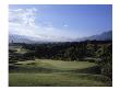 Princeville Golf Club The Prince Course, Hole 14 by Stephen Szurlej Limited Edition Pricing Art Print