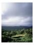 Luana Hills Country Club, Rainforest by Stephen Szurlej Limited Edition Print
