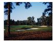 Pinehurst Golf Course No. 2 by Stephen Szurlej Limited Edition Pricing Art Print