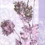 Le Fleurit I by Anne Searle Limited Edition Pricing Art Print