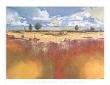 Thoughts Of Tuscany by Mary Calkins Limited Edition Print