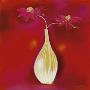Red Hot Ii by Marilyn Robertson Limited Edition Print