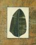 Palm Leaf I by Norman Wyatt Jr. Limited Edition Pricing Art Print