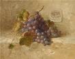 Bordeaux Grapes by Danhui Nai Limited Edition Print