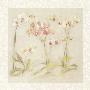 The Dance Of The Orchids by Cheri Blum Limited Edition Pricing Art Print