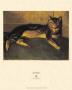 Cat Lying Down, 1912 by Theophile Alexandre Steinlen Limited Edition Print