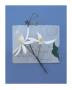 Emma's Garden Clematis by Deborah Schenck Limited Edition Pricing Art Print
