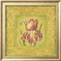 Golden Iris by Lauren Hamilton Limited Edition Print