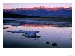 Telescope Peak At Dawn Reflected In Saline Water On Slat Flats, Death Valley National Park, U.S.A. by Ruth Eastham Limited Edition Print