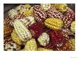 Corn, Maize, Peru by Darrell Gulin Limited Edition Print
