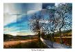 Penedes Vineyards by Pep Ventosa Limited Edition Print