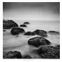 Muir Beach Ii by Jamie Cook Limited Edition Print