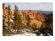 A View Into The Bryce Canyon Amphitheater, Bryce Canyon National Park, Utah by Taylor S. Kennedy Limited Edition Print