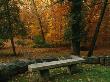 A Bench In A Wooded Setting Of Trees In Fall Foliage by Melissa Farlow Limited Edition Pricing Art Print