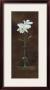 Beauty Of Orchids Ii by Ruane Manning Limited Edition Print