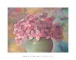 Old Fashion Pink by Laurel Astor Limited Edition Print