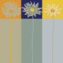 Daisy Variation by Rod Neer Limited Edition Print