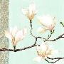 Magnolias On Turquoise by Louise Anglicas Limited Edition Print