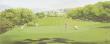 Golf Course With People by Jose Gomez Limited Edition Print