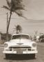 White Car And Palm Tree by Nelson Figueredo Limited Edition Print