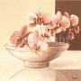 Bowl With Orchids by Yves Blanc Limited Edition Pricing Art Print