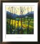 Springtime Galloway by Davy Brown Limited Edition Print