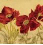 Jacquard Poppies I by Laurel Lehman Limited Edition Print