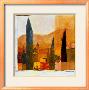 Provence Xiv by K. H. Grob Limited Edition Print