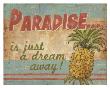 Tropical Paradise by Ted Zorns Limited Edition Pricing Art Print
