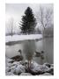 Two Ducks Sit Quietly On A Calm Pond In Winter by Taylor S. Kennedy Limited Edition Print