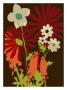 Dahlia Daisy I by Jennifer Orkin Lewis Limited Edition Pricing Art Print