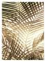 Areca Sepia Palm Ii by Trulee Jameson Limited Edition Pricing Art Print